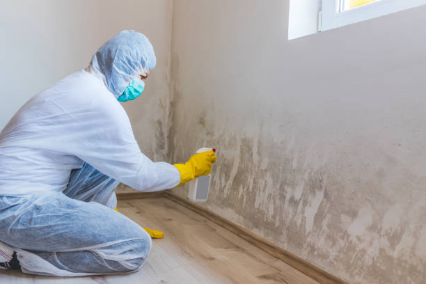 Licensed Commercial Mold Remediation service in Henderson, TX - WQB Mold Removal