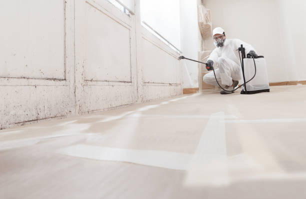 24/7 Emergency Commercial Mold Remediation experts in Henderson, TX