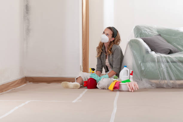Reliable Commercial Mold Remediation contractor in Henderson, TX by WQB Mold Removal